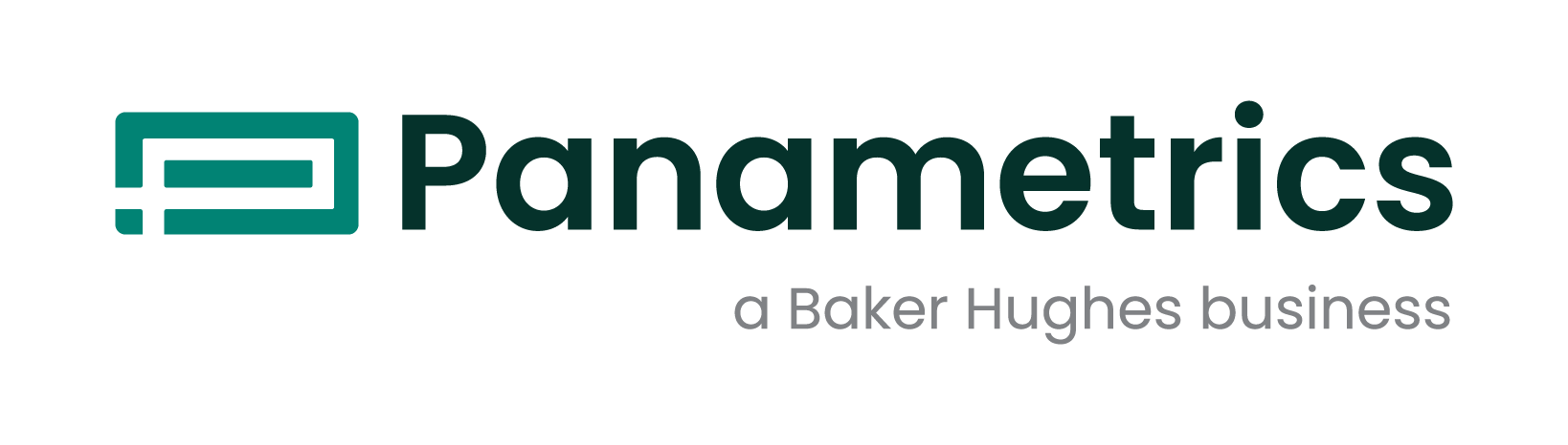 Panametrics для энергетической отрасли